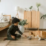 Best Food For Corgi Puppy