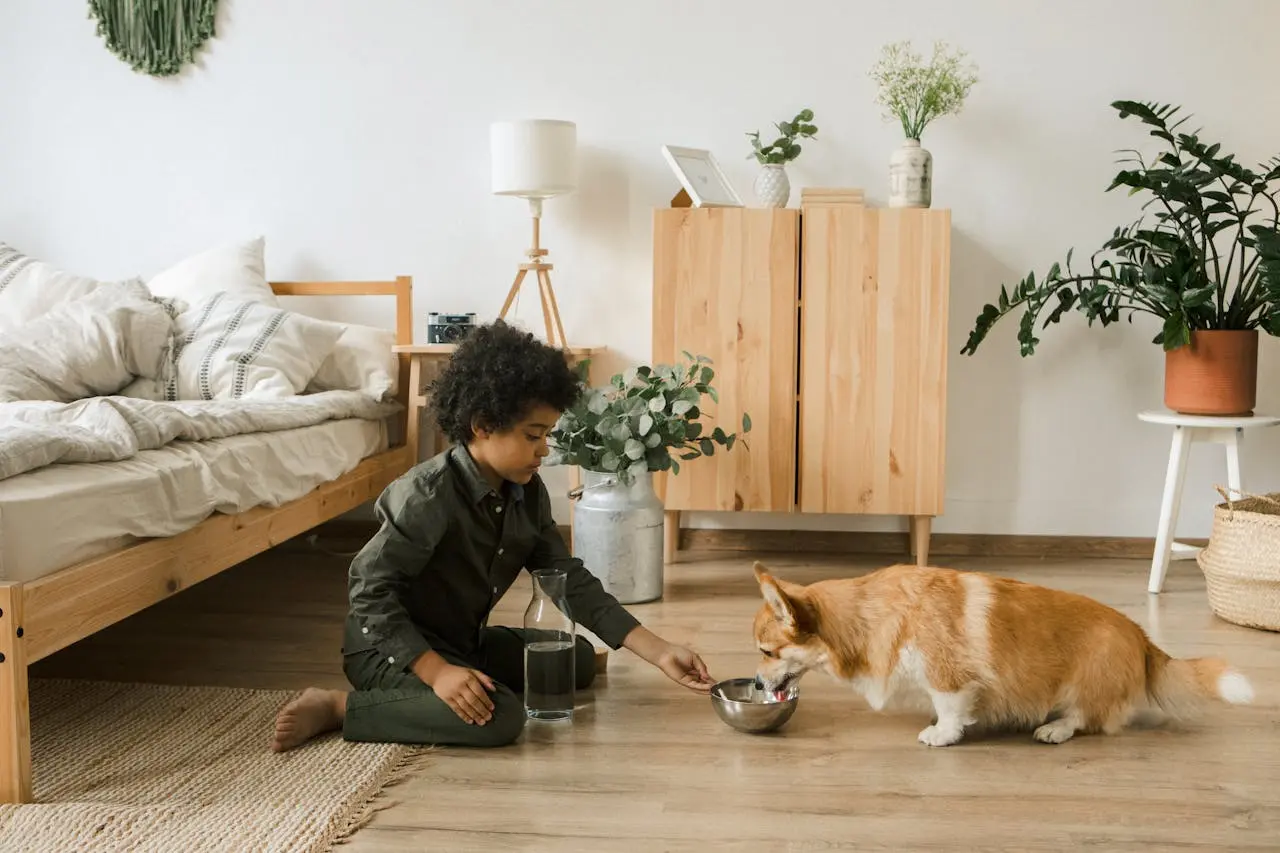 Best Food For Corgi Puppy