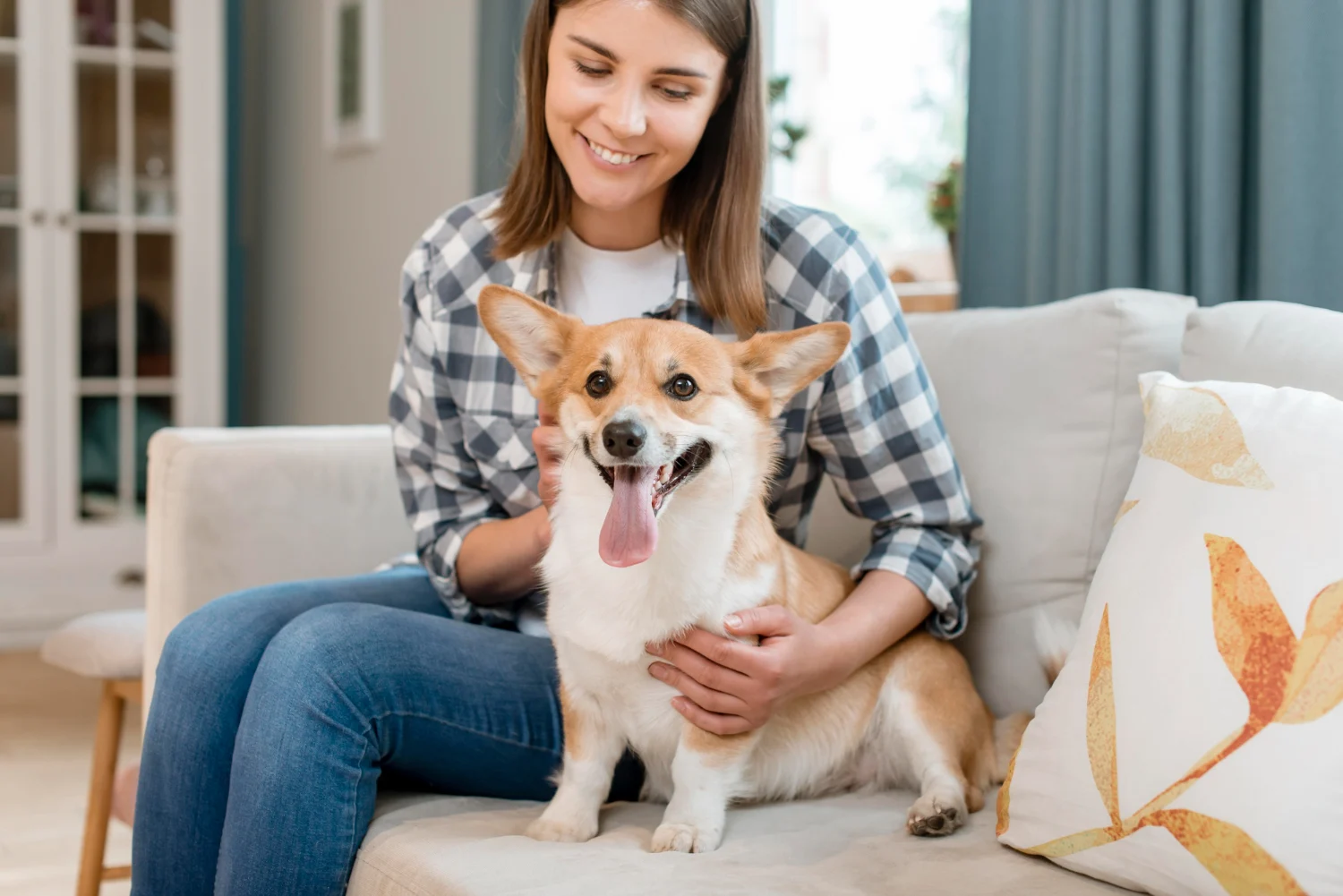 Cost Of Corgi Puppy